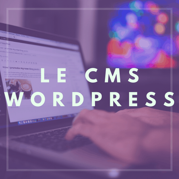 Votre agence web vous explique la création de site internet sur le CMS WordPress